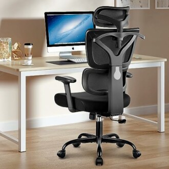 Winrise Ergonomic High Back Office Chair